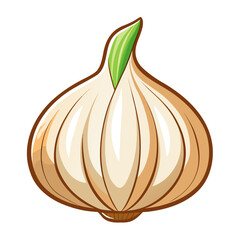 Garlic isolated on white background