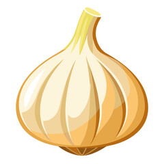 garlic isolated on white background