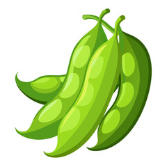 green peas vector illustration