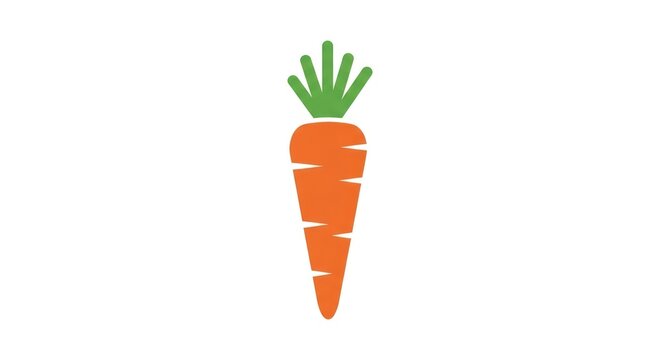Illustration of fresh orange carrot with green leaves on white