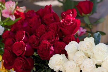 Vibrant red and white roses arranged in lush bouquets, ideal for florists, romantic gifts, wedding design, and elegant decorative compositions.