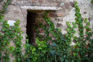 Close-up low-angle view through a narrow opening in a weathered brick wall, revealing a historic ruin or abandoned structure. Texture, decay, and architectural detail