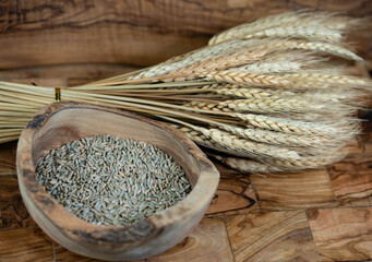 Dinkel Triticum aestivum auf Olivenholz