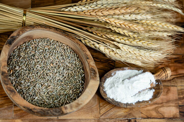 Dinkel Triticum aestivum auf Olivenholz