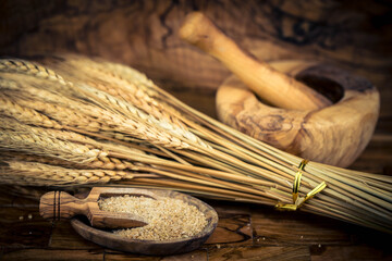 Dinkel Triticum aestivum auf Olivenholz