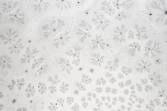 Aerial view of delicate, frost-like patterns spreading across a muted, snowy canvas, creating a mesmerizing, ethereal scene, Bolzano, Trentino-South Tyrol, Italy.