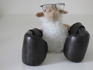 Sheep Series – 02: Absent-minded boxing sheep toy wearing gloves in a humorous fitness and motivation concept on white background