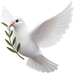 A White Dove Carrying a Green Olive Branch in its Beak Isolated on a Transparent Background Symbolizing Peace and Hope