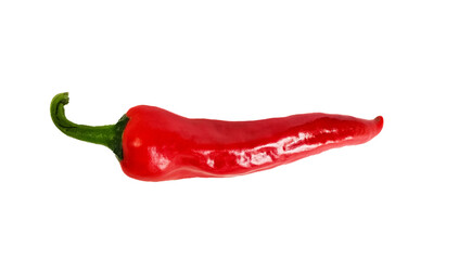 Chili pepper isolated on white background without shadow