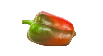 Multicolored bell peppers isolated on white background, no shadow