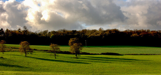 Fototapeta premium A scenic landscape with trees and a green field under a cloudy sky.