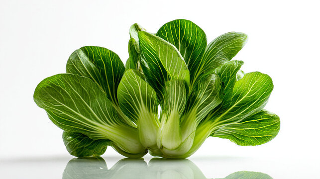 Close up shot of two heads of bok choy with vibrant green leaves on a reflective white surface view