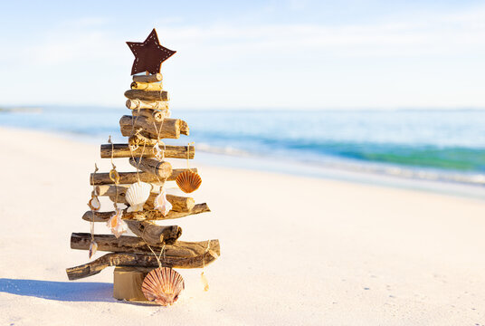 Sea shells decorate rustic wooden Christmas Tree on the beach