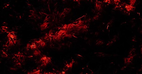 red embers swirling over black backdrop, cinematic closeup of glowing molten textures, smoky tendrils and flickering sparks, slow - Powered by Adobe