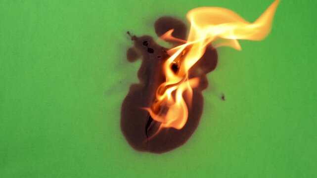 Burn Middle Green Screen Hole Fire Ash Combust Matte Transition SFX

Organic transition practical effect. In camera, recorded footage, no effects. Easy to map and apply to your transition matte	