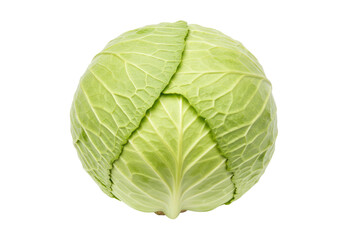 Obraz premium Isolated head of green cabbage in studio shot, food photography, healthy eating
