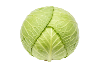 Isolated head of green cabbage in studio shot, food photography, healthy eating