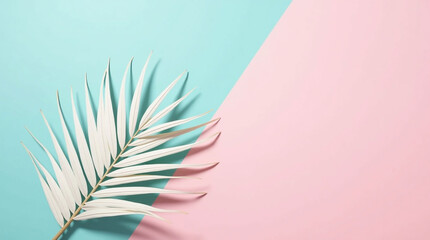 Stylish White Palm Fan Leaf on a Diagonal Pink and Blue Background | Modern Tropical Summer Design with Copy Space for Relaxing Beach and Holiday Themes