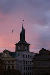 Fototapeta premium Dawn sky over historic buildings in Prague with a bird in motion