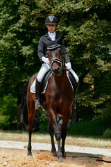 Equestrian sport, horse and rider in dressage competition, woman riding horse in outdoor arena, training and performance, equine event, sunny day, natural light, action shot.