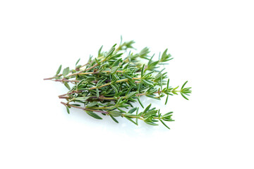Thyme fresh isolated on white background.