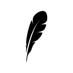 Feather icon. Bird feather silhouette symbol