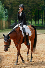 Equestrian sport, young woman riding a horse in outdoor arena, horsewoman in competition, dressage, horseback riding, training, equine activity, outdoor lifestyle.