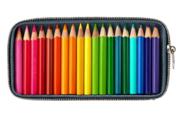 Multi-compartment pencil case isolated on transparent background