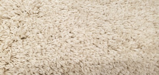 Fluffy carpet texture background. Soft rug for a bathroom or bedroom. Beige or gray fluffy carpet texture. Home interior decor. Terry rug.