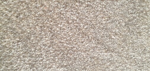 Fluffy carpet texture background. Soft rug for a bathroom or bedroom. Beige or gray fluffy carpet texture. Home interior decor. Terry rug.