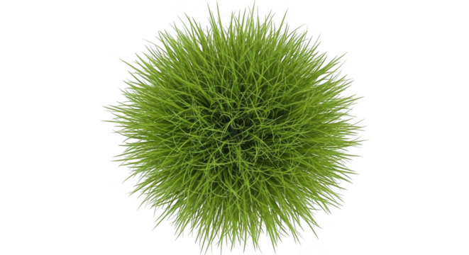 Abstract green plant sprout bursting with energy and growth transparent background