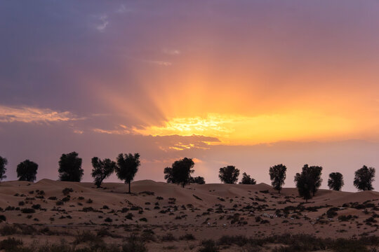 View of the sun's rays piercing through the dusky sky as trees stand in silhouette on the sandy dunes, Dubai, Sharjah, United Arab Emirates.
