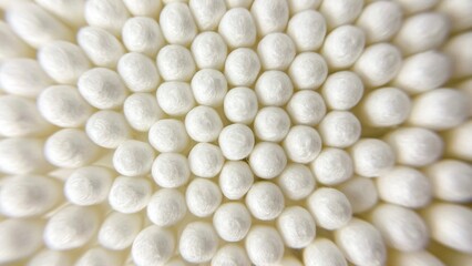 White cotton swabs are arranged in a neat, dense row, creating a smooth, textured surface for cleanliness and grooming concepts. Macro photo.