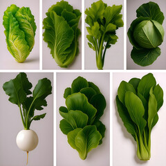 set of green vegetable