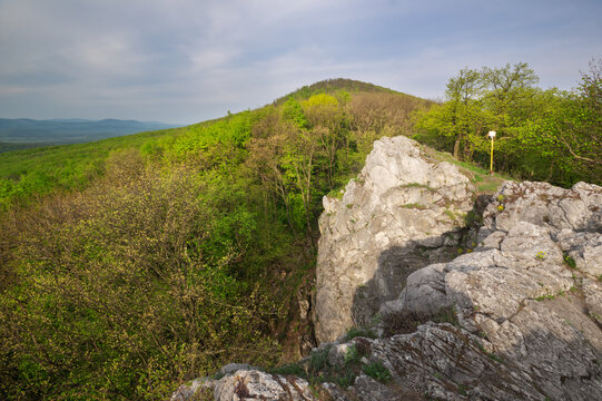 View of jagged white rocks contrasting with the lush green forest reaching towards a distant peak under a soft sky, Smolenice, Trnava Region, Slovakia.