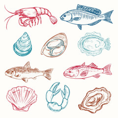 A doodle clipart set of seafood items including shrimp, mussel, fish fillet, crab claw, squid, oyster and scallop for restaurant branding and market signage