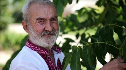Portrait of old ukrainian man in vyshyvanka near green walnut tree of summer garden. Senior smiling male wearing an embroidered shirt looking into camera outdoor. National identity and patriotism