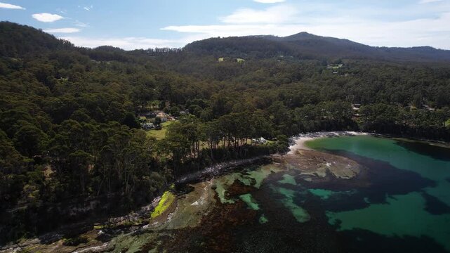 Dense Forest And Vegetation At Tasman National Park In Tasmania, Australia - Drone Shot