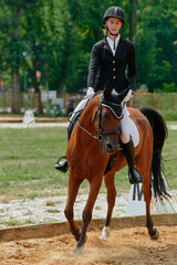 Fototapeta premium Equestrian sport, horse and rider in dressage competition, woman riding horse in outdoor arena, training and performance, equine event, sunny day, natural light, action shot.