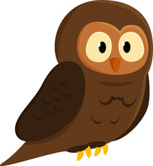 owl character cute illustration design