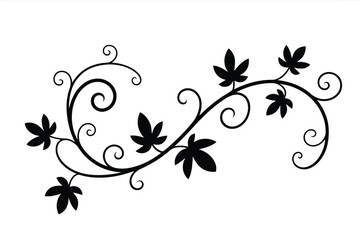 Black silhouette of a swirling vine with five pointed leaves on a white background leaf plant