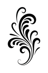Black swirling flourish decorative element on white background ornament