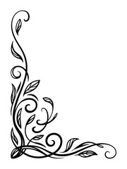Black swirling vine with leaves decorative corner flourish on white background vector