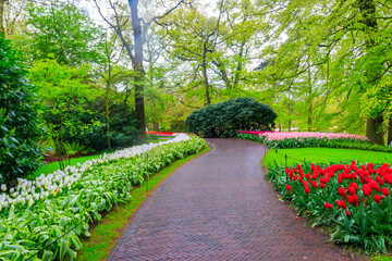 Scenic view of Keukenhof tulip garden in Lisse, Netherlands. Keukenhof is the most beautiful spring garden in the world. Beautiful ornamental garden landscape at Lisse, Netherlands