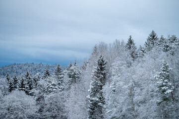 Swedish winter landscape. Snow covered forest, trees, against dark cloudy sky. Photography taken in Sweden in wintertime.	