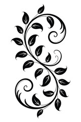 Black swirling vine with leaves decorative floral element white