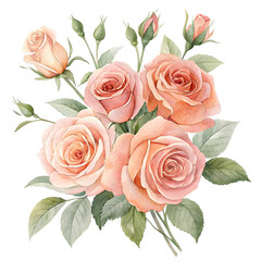 Soft peach and pink roses with green leaves on black background