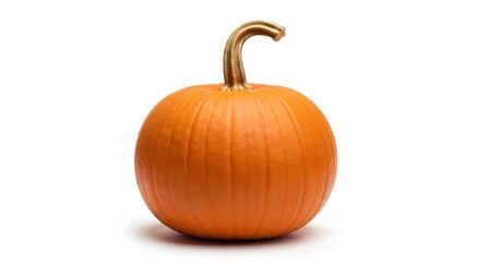 A single, ripe orange pumpkin with a curved stem isolated on a white background