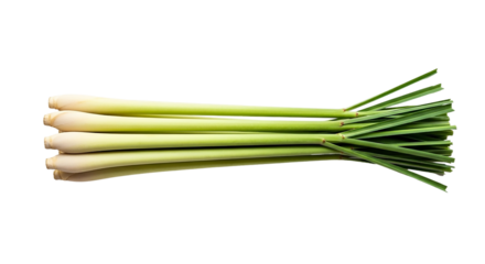 Fresh lemongrass stalks tied together isolated on transparent background