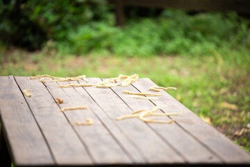 Fototapeta premium Minimalist landscape featuring fallen yellow leaves and gentle sunlight